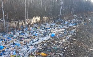 Глава ведомства поручил доложить о ходе проверки по факту нарушения экологического законодательства в Хабаровском крае